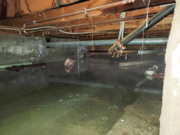 Best 24/7 water damage repair  in Houston, PA