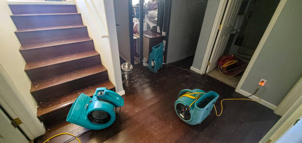 Best Water damage cleanup near me  in Houston, PA