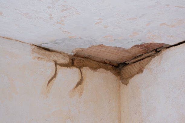  Houston, PA Water damage restoration Pros